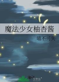 综漫魔法少女奈叶