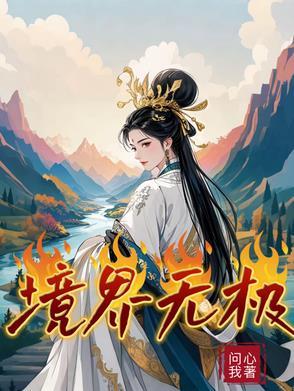 无极之境这本书怎么样 无极之境这本书怎么样