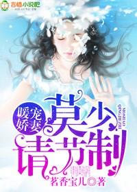 暖宠娇妻:莫少请节制! 暖宠娇妻:莫少请节制!